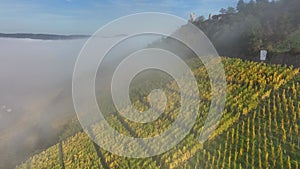 Aerial Drone Shot in autumn of Traben-Trarbach with Morning Fog. River Moselle in early fall, Germany. Moselland.