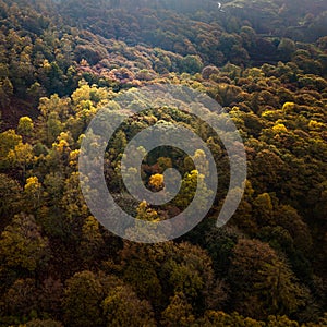 Aerial drone shot of autumn at Yew Tree Tarn in the English Lake District National Park