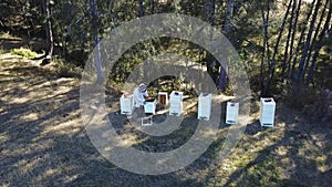 aerial drone shot of a beekeeper working on hives at cessnock