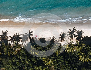 Aerial drone shot of Bingil Bay Beach at Mission Beach, Tropical North Queensland, Australia photo