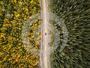 Aerial drone shot of colorful autumn forest from above