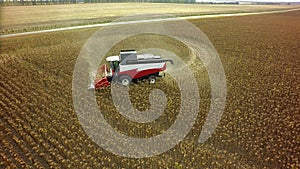 Aerial drone shot of a combine harvester working in a field. Tractors and farm machines harvesting corn in Autumn