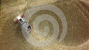 Aerial drone shot of a combine harvester working in a field. Tractors and farm machines harvesting corn in Autumn