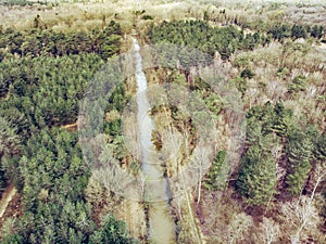 Aerial drone shot, of a forest with river or canal running through in early spring