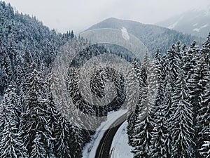 Aerial drone shot of the highway through the winter forest, pine trees covered with snow