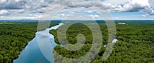 Aerial drone shot of river and heavy density mangrove photo