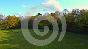 Aerial drone shot slowly rolling over an open field towards trees, Epping Forest