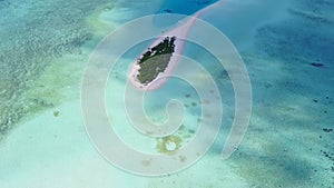 Aerial drone sky of tranquil seashore beach lifestyle by blue ocean and white sand background