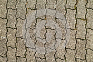 Aerial drone top down view on old brick gray concrete pavement or road with some grass growing between bricks