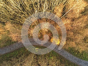 Aerial top view on a path in a park, Fall season.