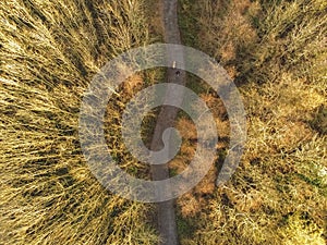 Path in a park Aerial view, Fall season.