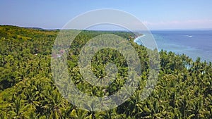 Aerial drone on on tropical paradise island of Asia with palm trees vegetation coastline jungle with an amazing beautiful sea wat