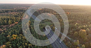 Aerial drone video captures stunning footage of a wildlife corridor bridge spanning over a busy highway, providing safe