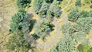 Aerial, drone view abandoned jewish cemetery in the middle of forest in Zarki, Poland. 18th century graveyard hidden in the woods
