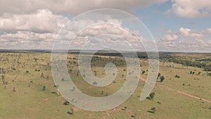 Aerial drone view of african safari game reserve landscape in Laikipia