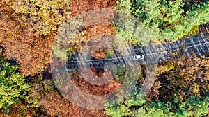 Aerial drone view of autumn landscape and road from above, yellow, green and red golden autumn trees and country road for cars