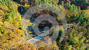 Aerial drone view of autumn landscape and road from above, yellow, green and red golden autumn trees and country road for cars