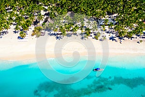 Aerial drone view of beautiful caribbean tropical island beach with palms and boat. Saona, Dominican Republic. Vacation background