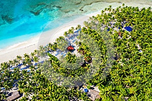 Aerial drone view of beautiful caribbean tropical island beach with palms. Saona, Dominican Republic. Vacation background