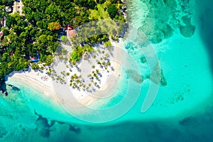 Aerial drone view of beautiful caribbean tropical island Cayo Levantado beach with palms. Bacardi Island, Dominican Republic.