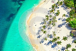 Aerial drone view of the beautiful small island and palm trees of Atlantic Ocean. Cayo Levantado island, Samana, Dominican
