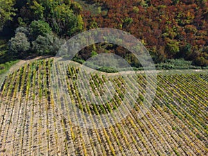 Aerial drone view in chianti region