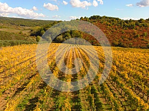 Aerial drone view in chianti region