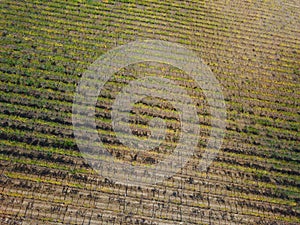 Aerial drone view in chianti region