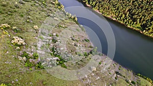 Aerial drone view on cliff mountain shores, covered with forest. Beautiful summer nature of earth. Amazing background