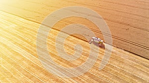 Aerial drone view of combine harvester collects harvest grain in a wheat field in summer sunny day. Agricultural machinery works
