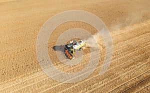 Aerial drone view: combine harvester work in wheat field on sunset