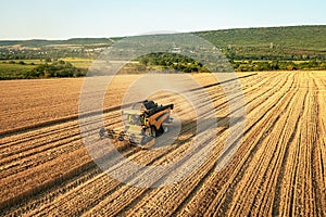 Aerial drone view: combine harvesters working in wheat field on sunset