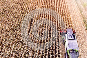 Aerial drone view on corn harvesting.