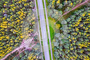 Aerial drone view of crossroad among autumn colorful trees