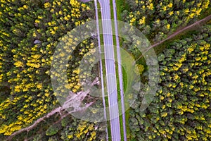 Aerial drone view of crossroad among autumn colorful trees