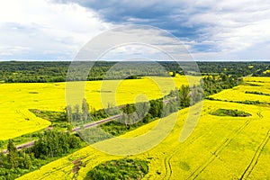Aerial drone view of cultivated colorful raps field in Czech Republic