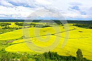 Aerial drone view of cultivated colorful raps field in Czech Republic