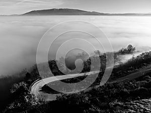 Aerial drone view of a curcy road above a sea of fog