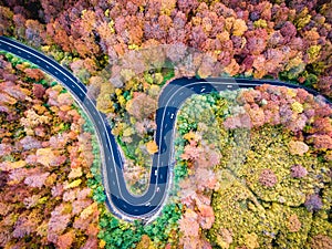 Aerial drone view of a curved winding road through the forest hi