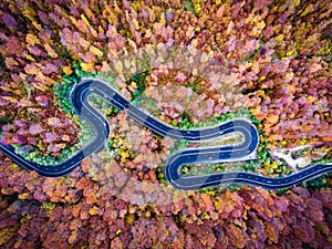 Aerial drone view of a curved winding road through the forest hi