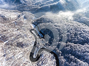 Aerial drone view of a curved winding road through the forest hi