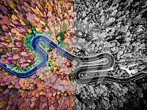 Aerial drone view of a curved winding road through the woods