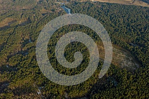 Aerial drone view of deforestation of a pine forest. Ecology concept change tree forest drought and forest refreshing