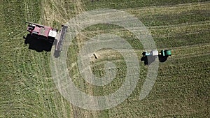 Aerial drone view of the farm work: grain harvesting.