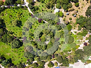 Aerial Drone View of Fenerbahce Park in Kadikoy / Istanbul Seaside. photo