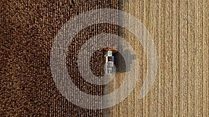 Aerial Drone View Flight Over Combine Harvester that Reaps Dry Corn in Field