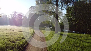 Aerial drone view flight over dirt path in park in early morning