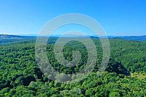 Aerial drone view of forest with green trees in Romania