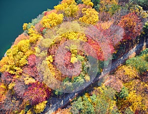 Aerial drone view of a forest, a lake and a road in autumn