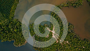 Aerial drone view of forest and lake scenery at Tasik Biru Chinchin, Jasin, Melaka, Malaysia